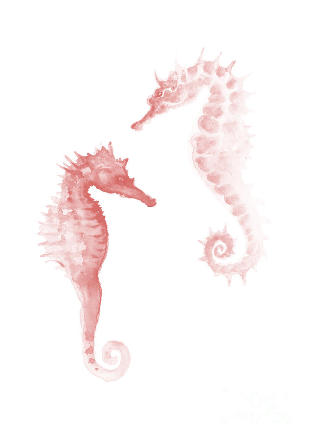 Seahorse Painting - Seahorse Pink Illustration Sea Animal Poster by Joanna Szmerdt