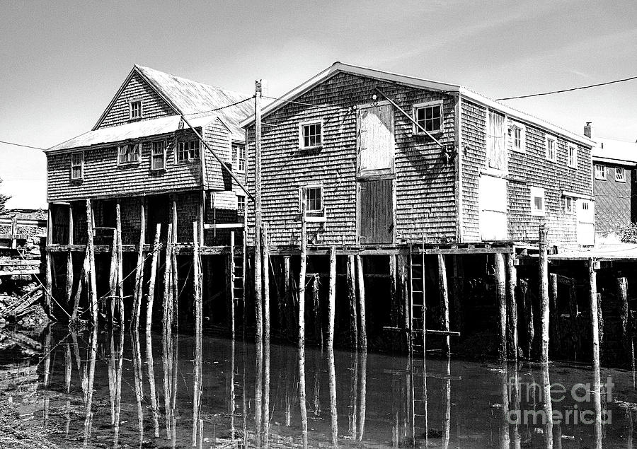 Seal Cove Grand Manan Photograph by Barbara McMahon