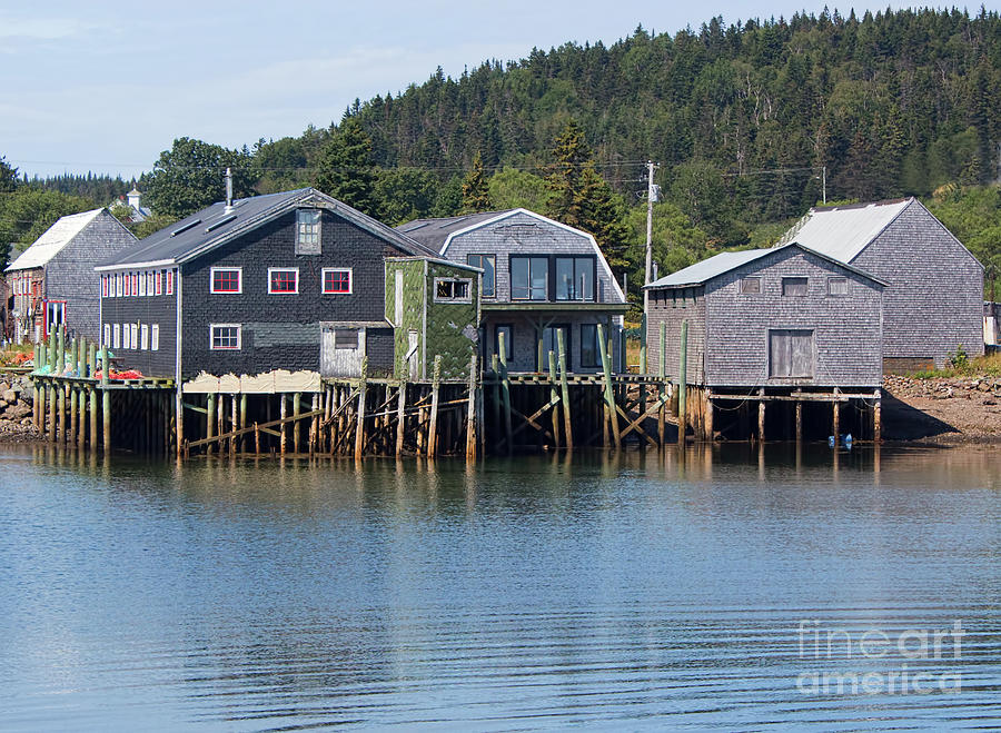 Seal Cove Grand Manan Herring Huts Photograph by Barbara McMahon - Fine ...