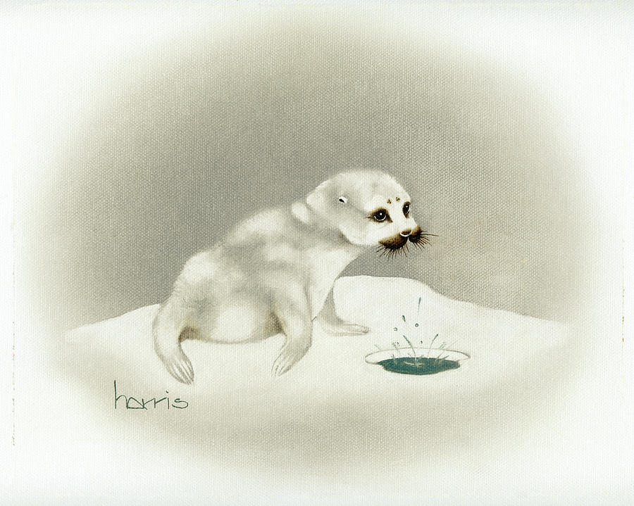 Seal Painting by Peggy Harris
