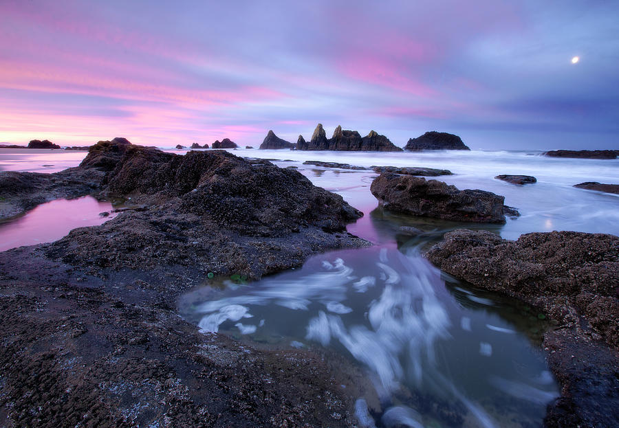 Sunset Photograph - Seal Rock Colors by Thomas Haney