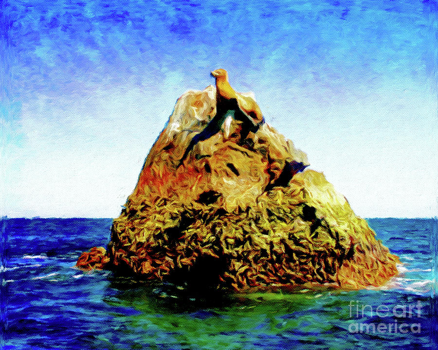 Seal Rock Photograph