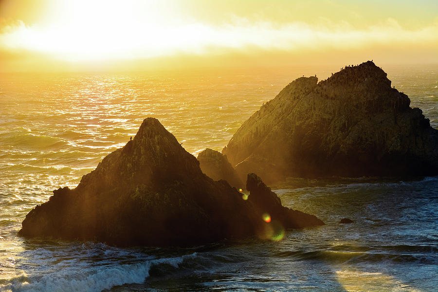 Seal Rocks San Francisco Photograph by Kyle Hanson