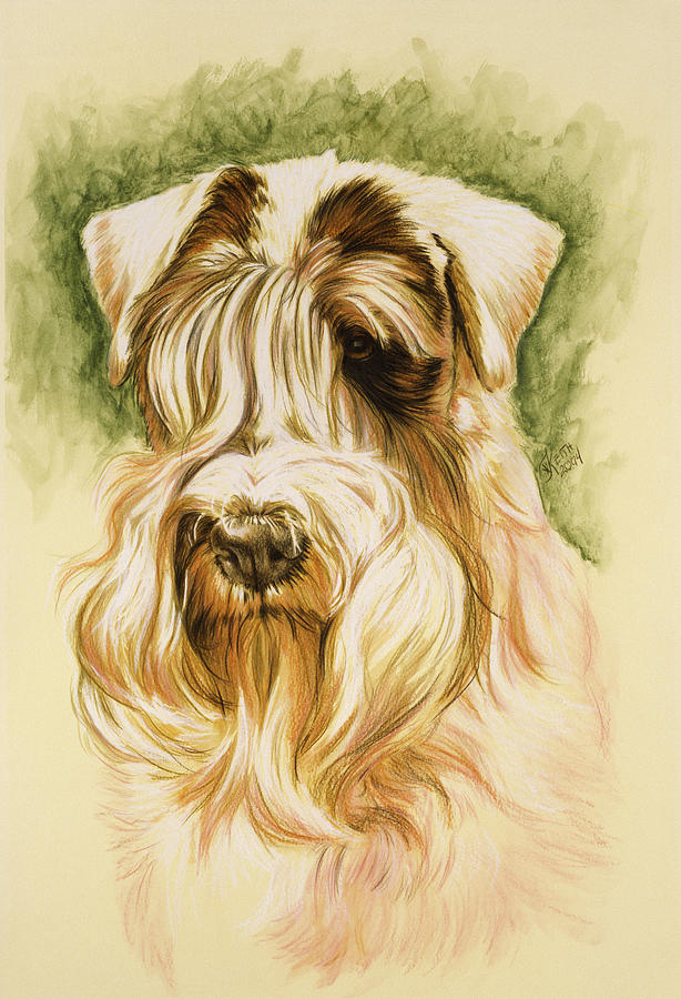 Sealyham Terrier Painting by Barbara Keith