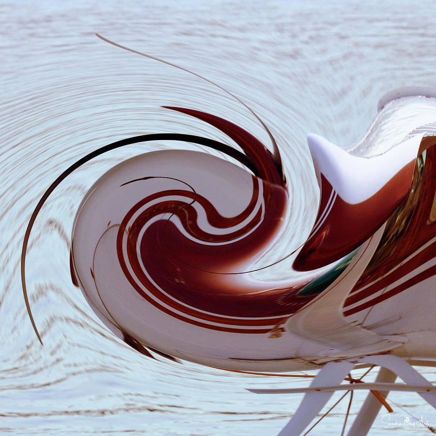 Seaplane Wave by Sandra Day Seaplane Wave by Sandra Day