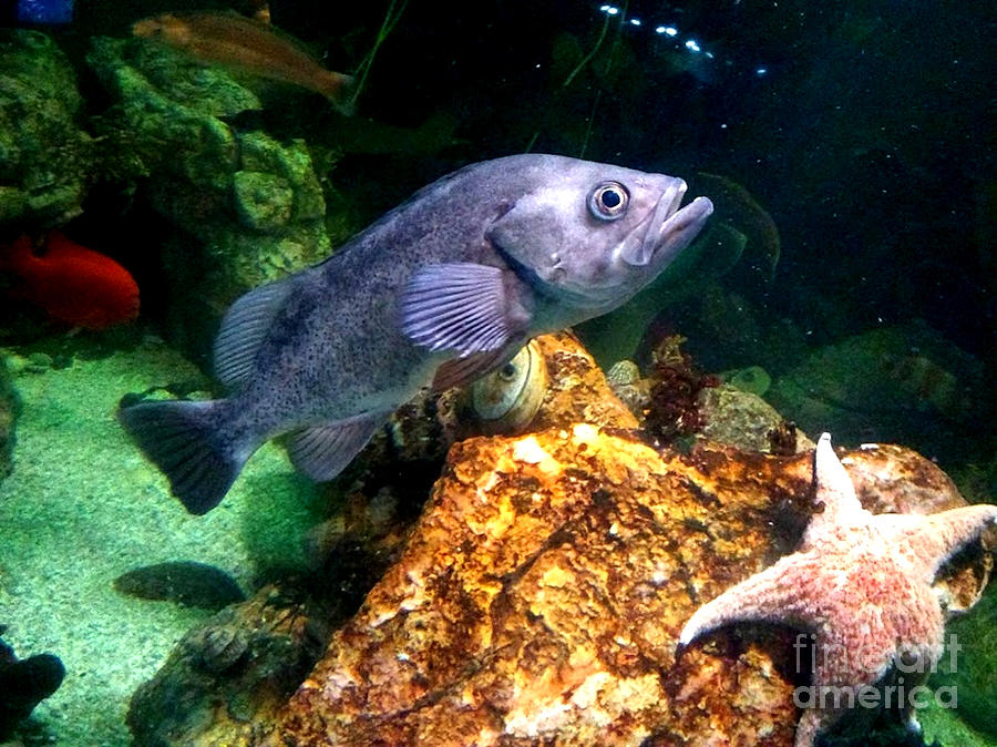 Searching for Food by Inscape Art Photography Searching for Food by Inscape Art Photography
