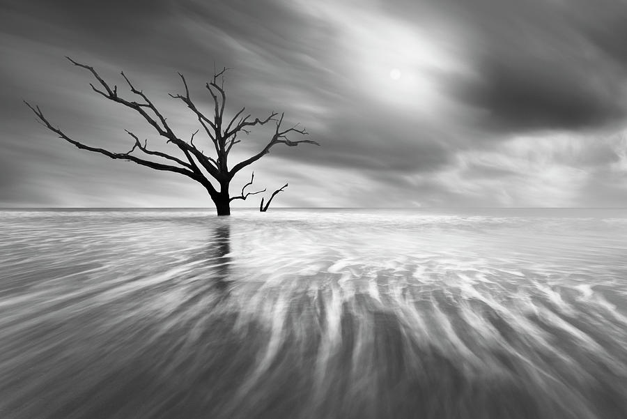 Searching For Life Photograph by Moises Levy | Fine Art America