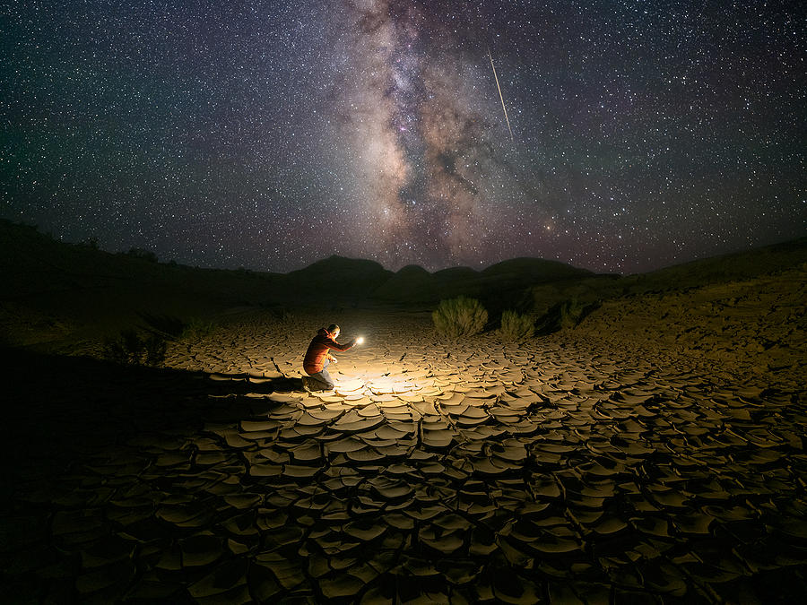 Searching In The Starry Night Photograph by Bingo Z