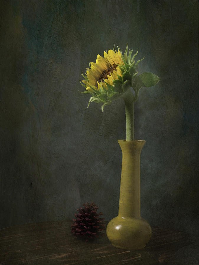 Sunflower Photograph - Searching The Light by Eduardo Llerandi