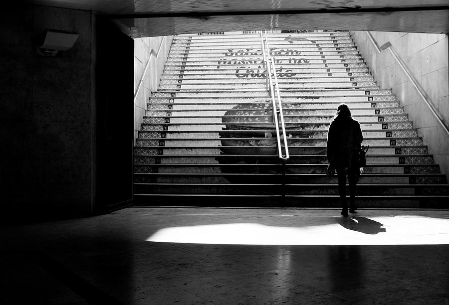 Searching The Light Photograph by Fernando Alves