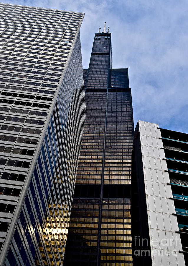Sears Tower Chicago Photograph by Debra Banks