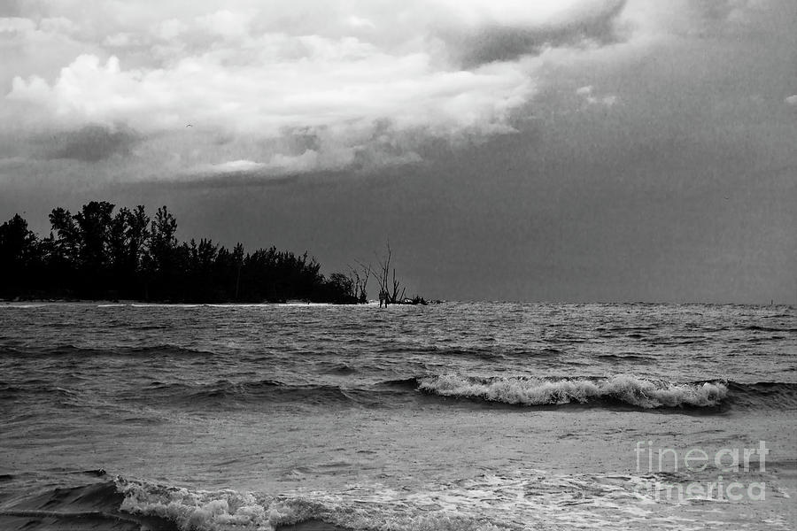 Seascape, Dark Monochrome Photograph by Felix Lai