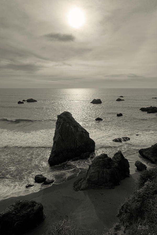 Seascape Jenner California I Toned Photograph by David Gordon