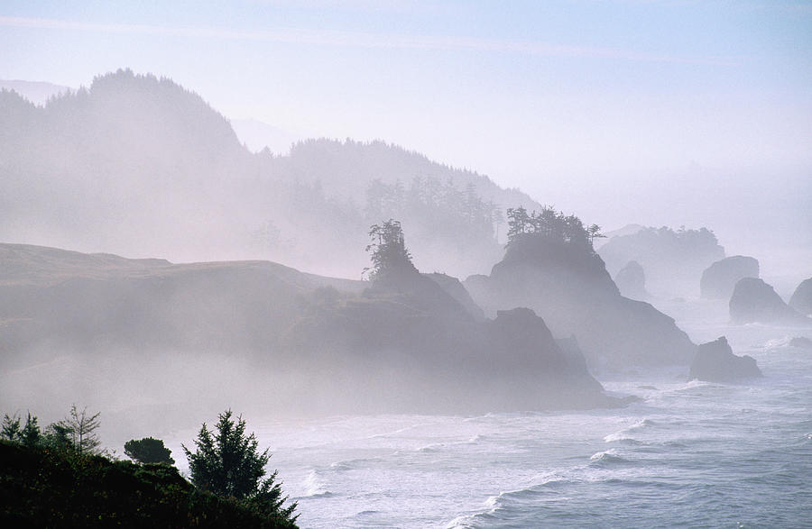 Seascape, Sea Mist On Coastline by John Elk Iii