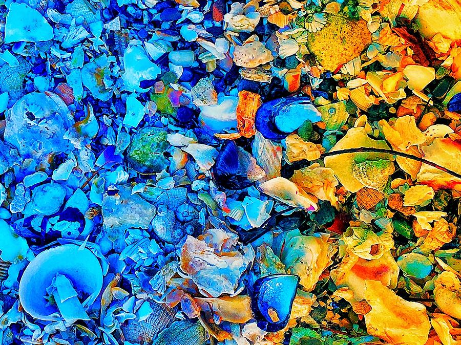 Seashell Abstract Photograph by Jerry Abbott