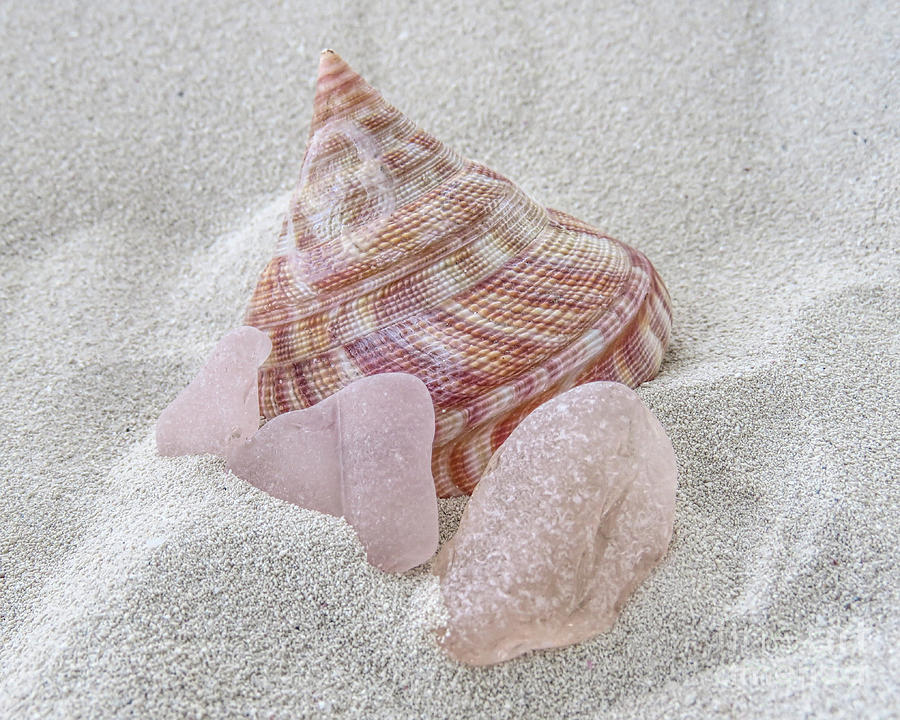 Seashell And Sea Glass  In Pinks Photograph