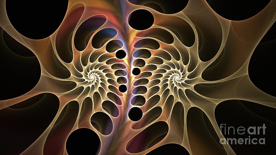 Seashell Blush Digital Art by Doug Morgan