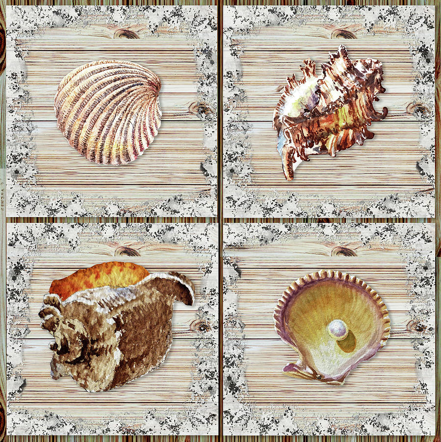 Seashells Beach House Rustic Chic Collection I Painting