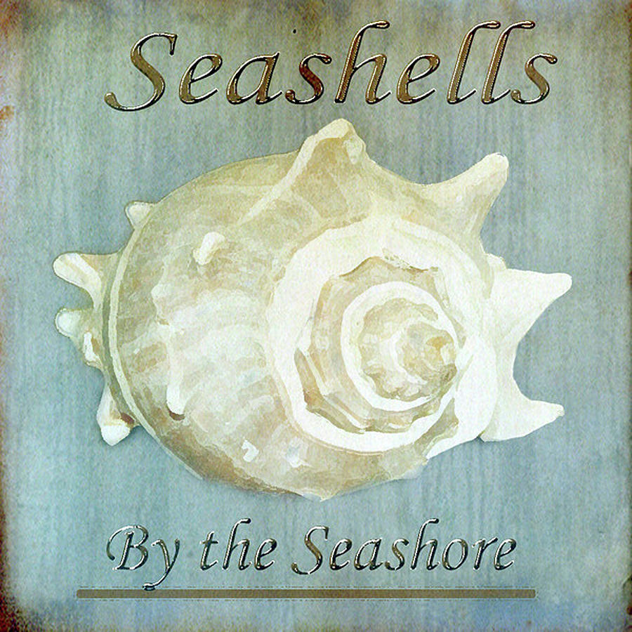 Seashells By The Seashore Mixed Media - Seashells By The Seashore I by Karen Williams