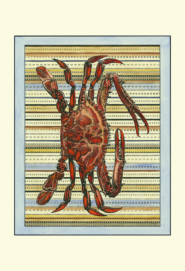 Animal Painting - Seashore Crab by Vision Studio