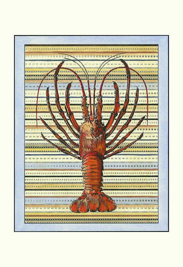 Animal Painting - Seashore Lobster by Vision Studio