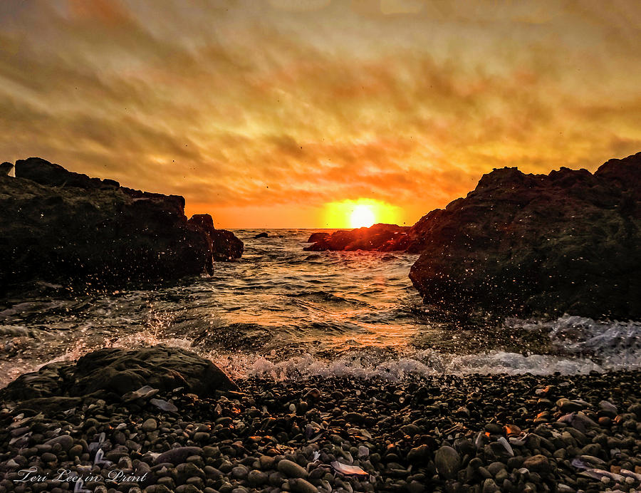 Seashore Sunset by Teri Lee Seashore Sunset by Teri Lee