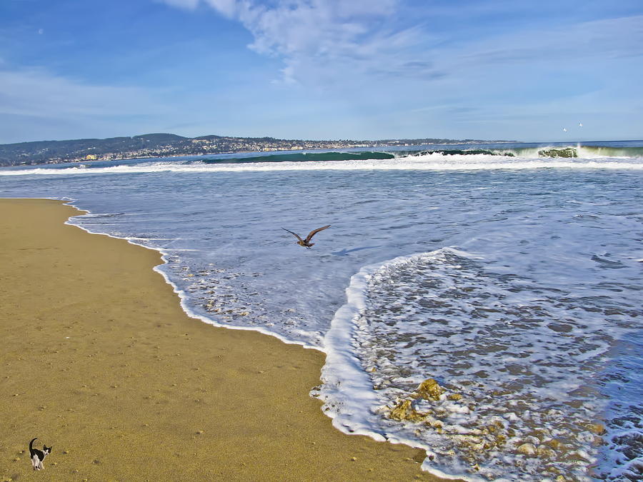 Seaside Beach California Photograph