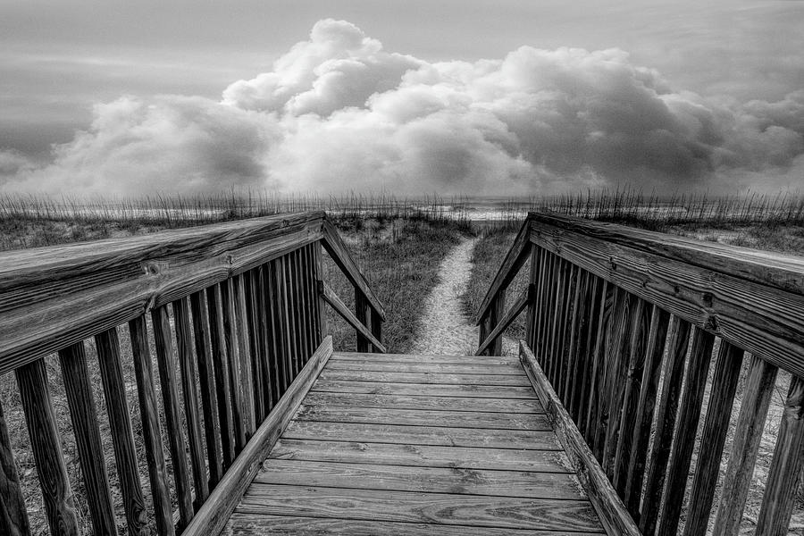 Seaside Dunes in Black and White Photograph by Debra and Dave Vanderlaan