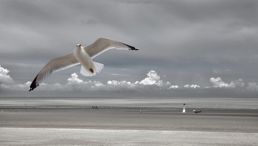 Seagull Photograph - Seaside Mood by Yvette Depaepe