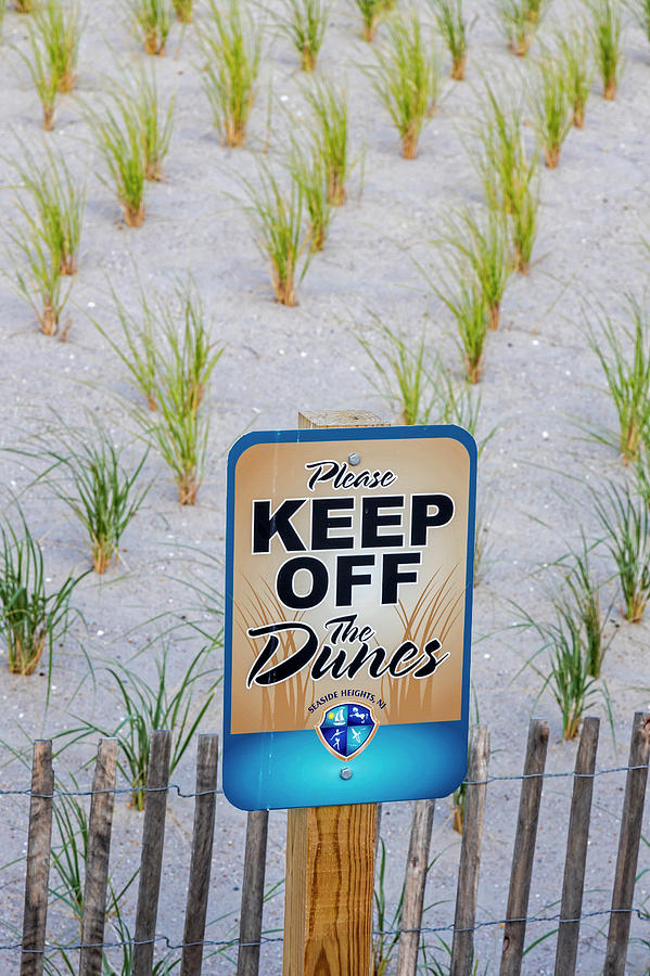 Seaside Sand Dunes Sign Photograph by Susan Candelario