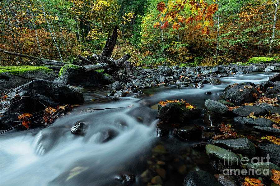 Season of Color Photograph by Michael Dawson