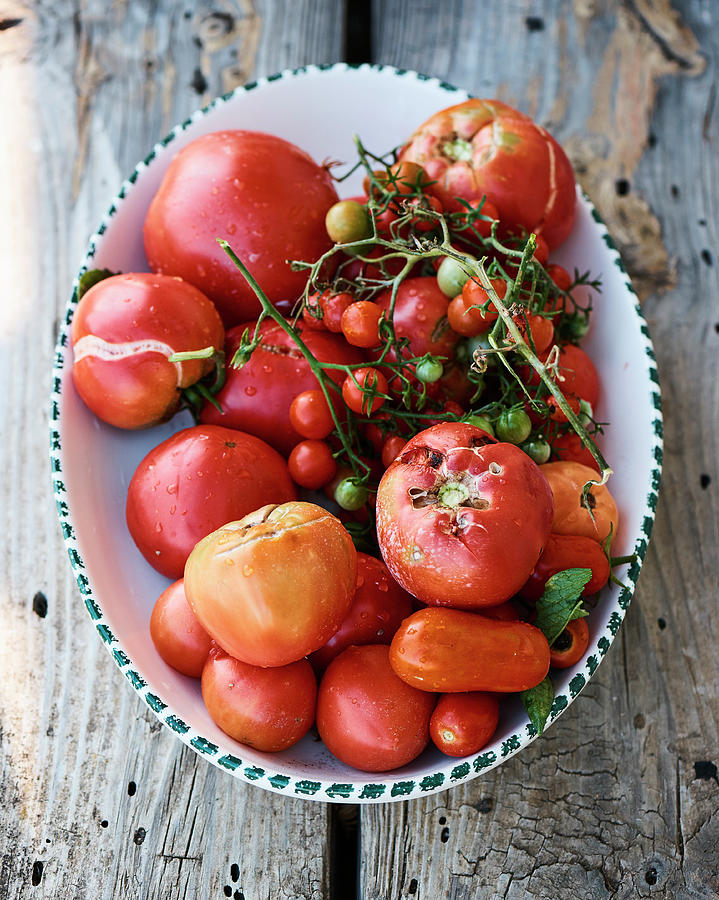 Seasonal Home Grown Tomatoes On A Plate Photograph by Miha Lorencak