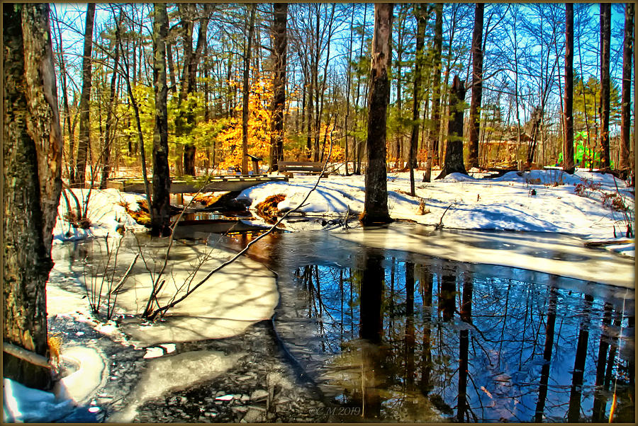 Winter Photograph - Seasonal Pallet by Catherine Melvin