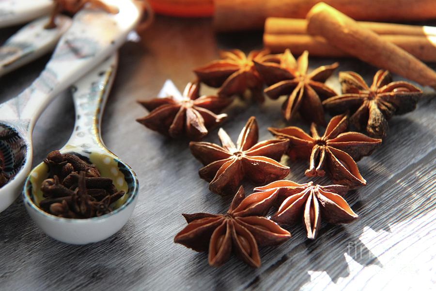 Seasonal spices  Photograph by Lynn England