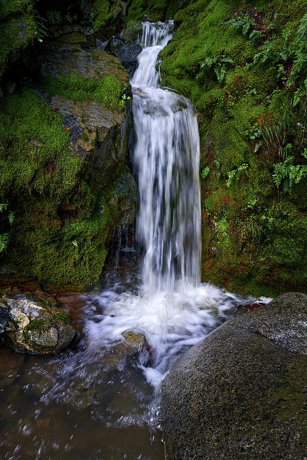 Seasonal Waterfall Photograph by Janet Kopper