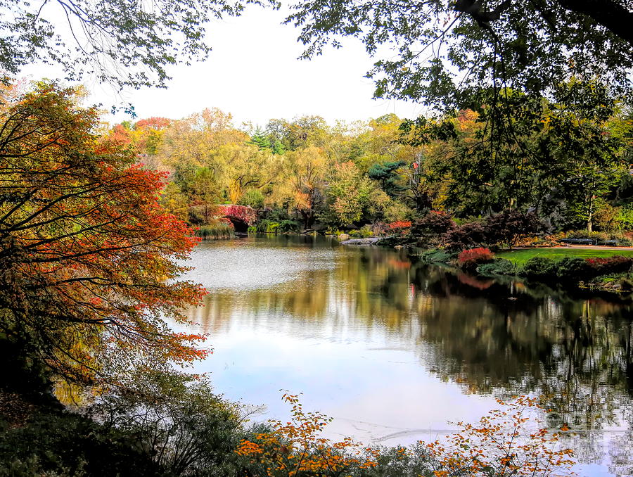 Seasons Fall NY Central Park  Photograph by Chuck Kuhn