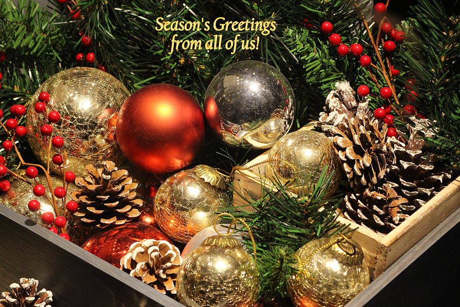 Seasons Greetings - A Holiday Card Photograph by Dora Sofia Caputo