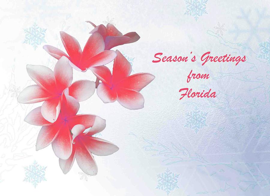 Seasons Greetings From Florida by Jacqueline Sleter Seasons Greetings From Florida by Jacqueline Sleter