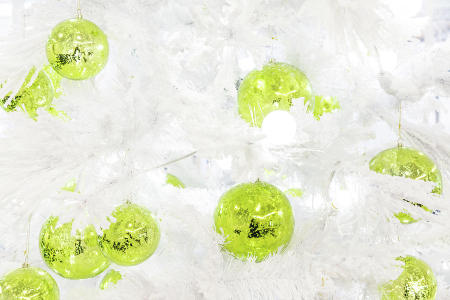 Seasons Greetings - Frosty White with Chartreuse Accents Photograph by Georgia Mizuleva