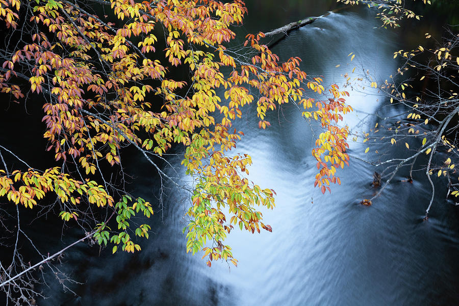 Fall Photograph - Seasons of Change by Fran Riley