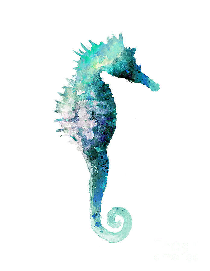 Seaspray Seahorse Digital Art by Marlene Watson