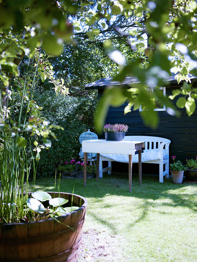 Seating Area On Lawn Next To Garden Shed With Mini Pond In Wooden Barrel Photograph by Birgitta Wolfgang Bjornvad