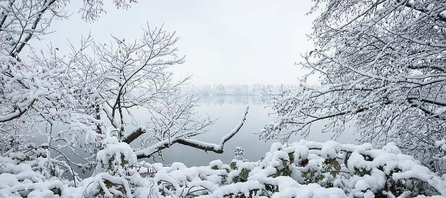 Seattle Green Lake Snow Photograph by William Dunigan
