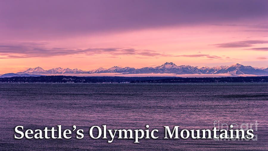 Olympic Mountains Photograph - Seattles Olympic Mountains by G Matthew Laughton Olympic Mountains Photograph - Seattles Olympic Mountains by G Matthew Laughton