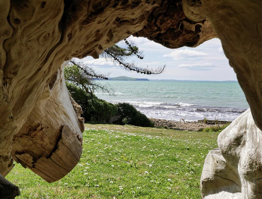 Seaview through driftwood Photograph by Martin Smith