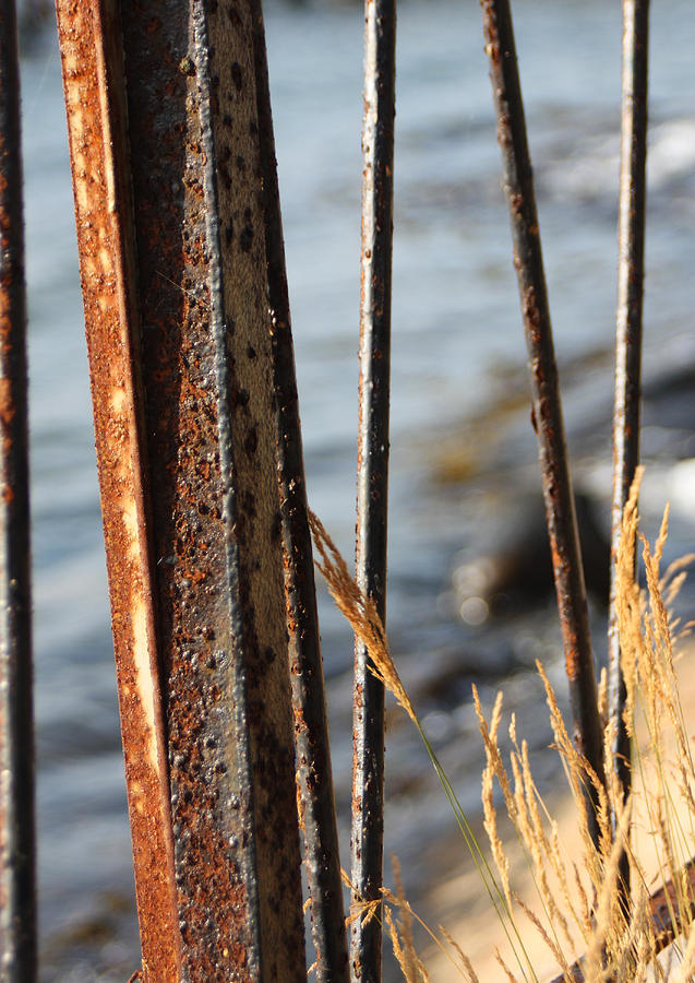 Seaview Through the Fence by Sannel Larson Seaview Through the Fence by Sannel Larson