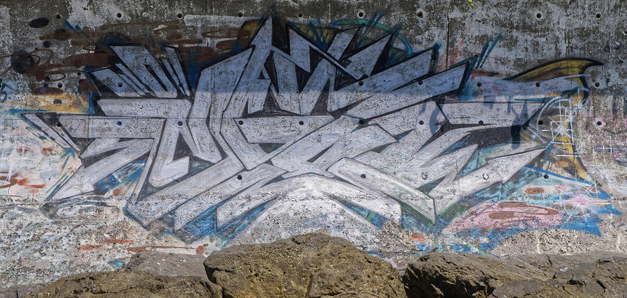 Seawall graffiti 2 Photograph by Eric Hafner