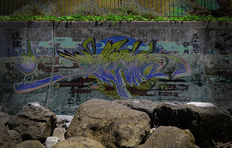 Seawall Graffiti 3 Photograph by Eric Hafner