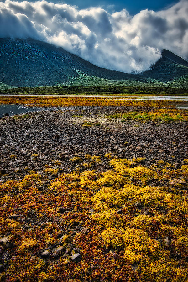 Seaweed, Mountains, and Clouds - Scotland Photograph by Stuart Litoff