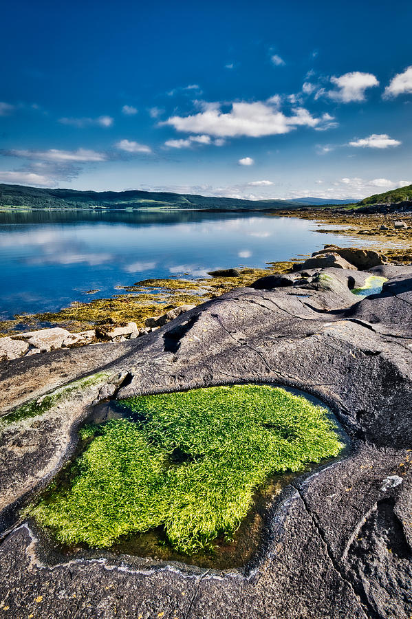 Moss on Rocks - Scotland by Stuart Litoff